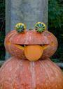 pumpkin-face-autumn-october-funny-473921.jpg