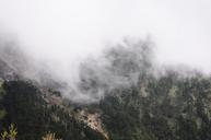 fog-mountain-acacia-hill-landscape-788872.jpg