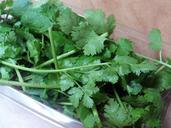 cilantro-aromatic-herbs-spices-348291.jpg