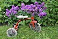 tricycle-jupiter-retro-lastenpy%C3%B6r%C3%A4-842481.jpg