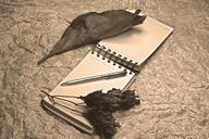 notepad-dried-leaves-fine-art-251785.jpg