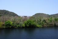 dam-supa-river-kali-nature-707392.jpg