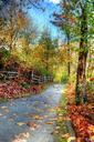 trail-nature-landscape-autumn-63867.jpg