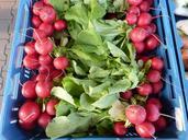 radishes-vegetables-market-fresh-752013.jpg