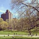 new-york-city-central-park-manhattan-436986.jpg