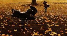 playground-park-fall-leaves-255731.jpg