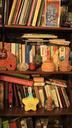 bookshelf-books-library-literature-751981.jpg