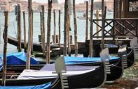 venice-gondolas-laguna-642934.jpg