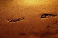 footprints-gold-step-1310332.jpg