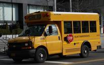 bus-school-bus-new-york-road-917574.jpg