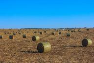 field-hay-bales-hay-farmland-1630025.jpg