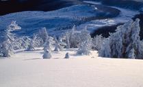 snow-winter-landscape-outdoors-1575053.jpg