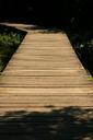 boardwalk-forest-nature-trail-web-580174.jpg