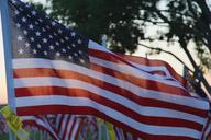 memorial-day-flag-usa-america-354081.jpg