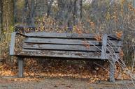 bench-rustic-weathered-nature-park-1017326.jpg