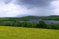 Fields of meadow flowers.jpg