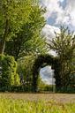 archway-rose-arch-nature-garden-867103.jpg