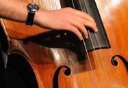 bass-music-jazz-instrument-sound-656727.jpg