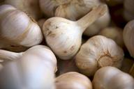 garlic-cloves-food-ingredients-691886.jpg