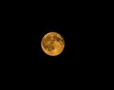 orange-moon-full-moon-1534099.jpg