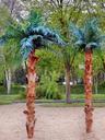 palm-trees-tree-beach-508290.jpg