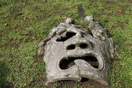 costa-rica-fig-stone-sculpture-1178088.jpg