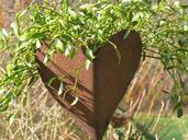 heart-sheet-flowerpot-mistletoe-80224.jpg