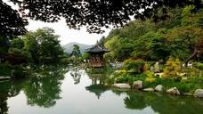 arboretum-nature-pond-wood-hanok-191888.jpg