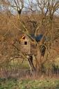 cabin-wood-treehouse-tree-243875.jpg