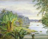 north_view_kuching_river_sarawak_borneo_1876.jpg