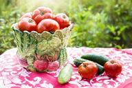 tomatoes-harvest-vegetable-tomato-929234.jpg