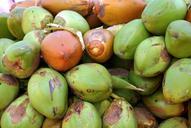 coconut-green-300342.jpg