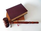 hammer-books-law-court-lawyer-719062.jpg