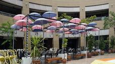 singapore-parasols-courtyard-1091555.jpg