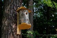 forest-tree-booth-for-birds-1455331.jpg