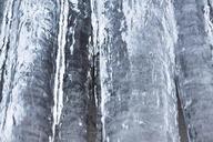 ice-icicle-cold-winter-white-633157.jpg