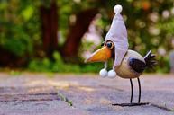 raven-bird-cap-funny-bobble-crow-937263.jpg