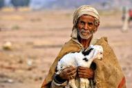 egypt-man-bedouin-desert-sheep-1003078.jpg