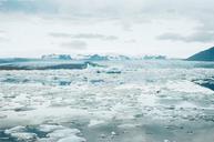 glacier-lagoon-iceland-arctic-cold-498291.jpg