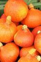 pumpkin-autumn-helloween-gourd-1028586.jpg