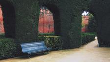 courtyard-bench-shrubs-path-924117.jpg