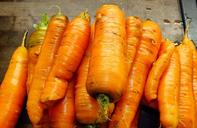 carrots-orange-carrots-1268239.jpg