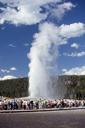 geyser-yellowstone-park-1130858.jpg