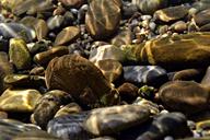 underwater-stones-water-rocks-23040.jpg