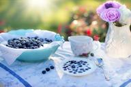 blueberries-cream-dessert-breakfast-1576405.jpg