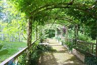 pergola-shady-walk-garden-walk-94560.jpg