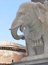 elephant-bernini-rome-stone-figure-601779.jpg