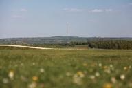 emley-moor-mast-transmitter-grass-667434.jpg