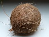 coconut-coconuts-exotic-sweet-palm-60391.jpg