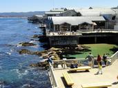 Monterey-Bay-Aquarium-Monterey-California.jpg